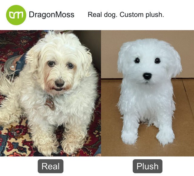 Dog photo beside a full-body custom plush, comparison 030