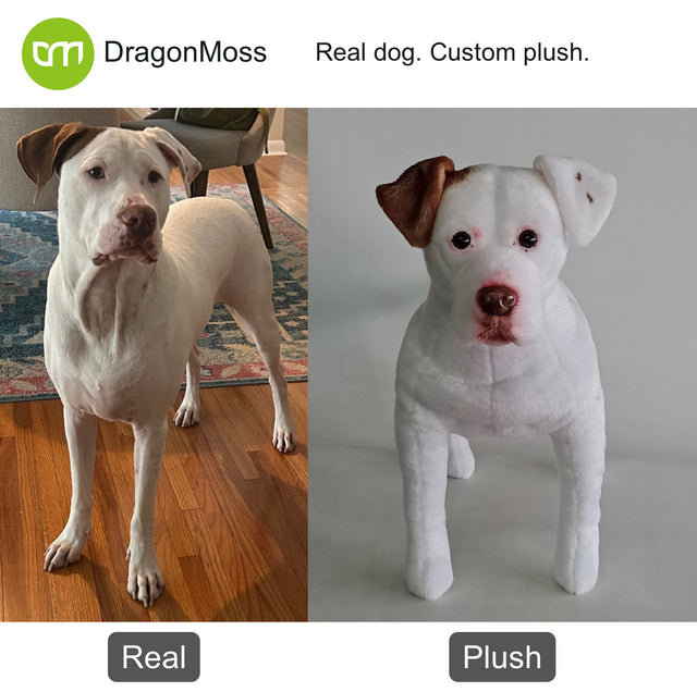 Dog photo beside a full-body custom plush, comparison 031