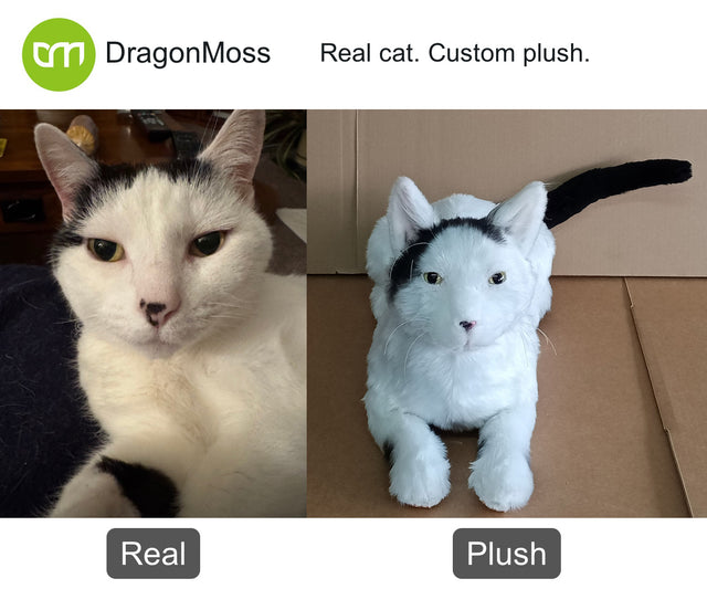 Cat photo beside a full-body custom plush, comparison 033