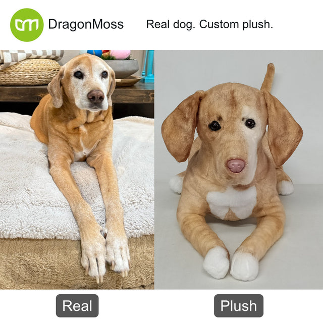 Dog photo beside a full-body custom plush, comparison 034