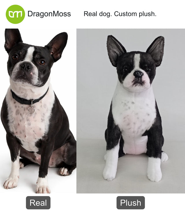 Dog photo beside a full-body custom plush, comparison 035