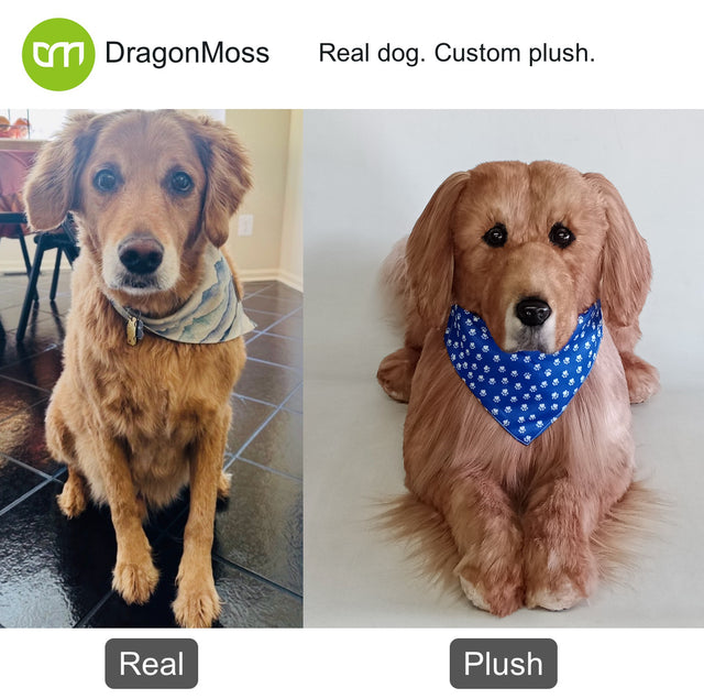 Dog photo beside a full-body custom plush, comparison 036