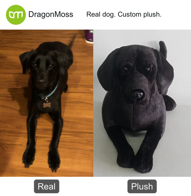 Dog photo beside a full-body custom plush, comparison 037