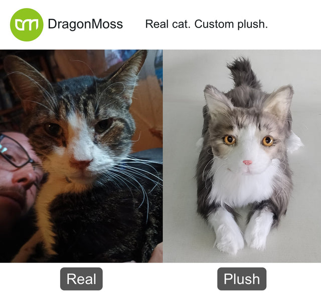 Cat photo beside a full-body custom plush, comparison 039