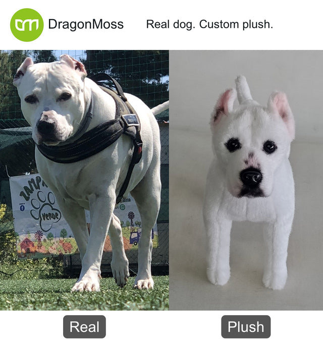 Dog photo beside a full-body custom plush, comparison 040