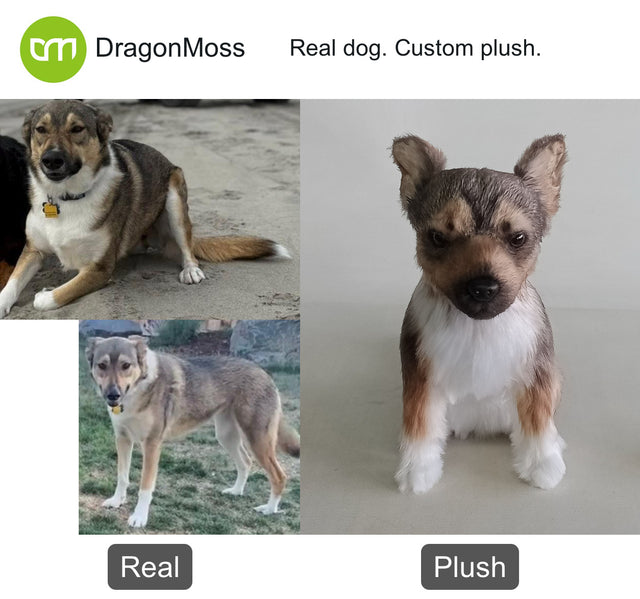 Dog photo beside a full-body custom plush, comparison 042