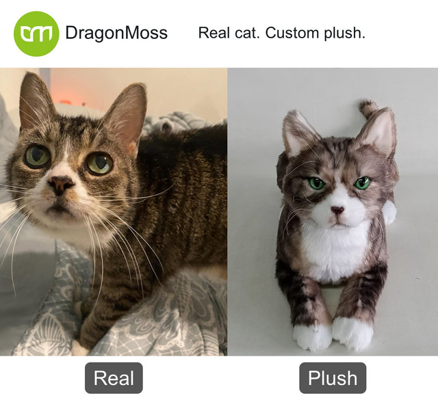 Cat photo beside a full-body custom plush, comparison 043