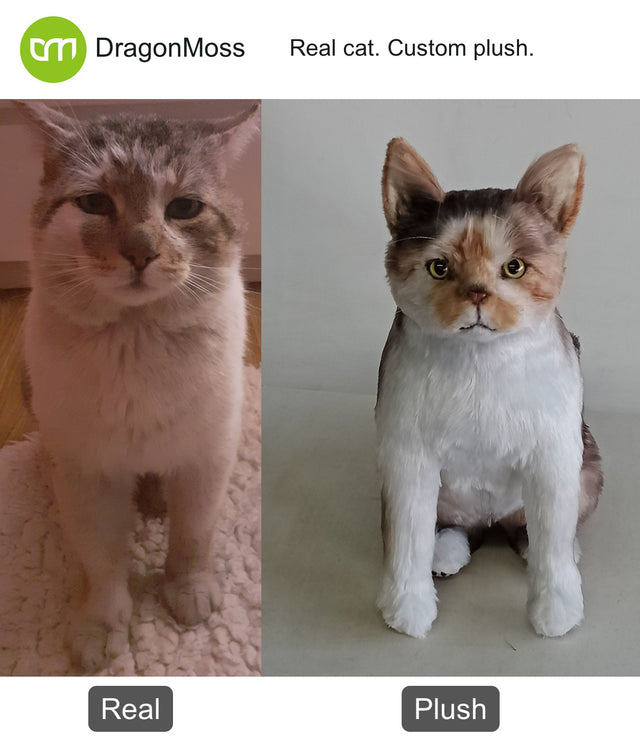 Cat photo beside a full-body custom plush, comparison 044