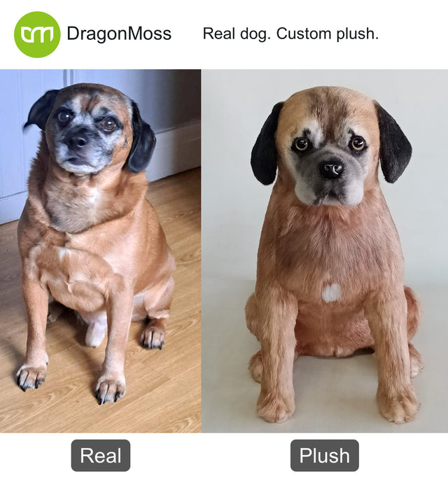 Dog photo beside a full-body custom plush, comparison 045