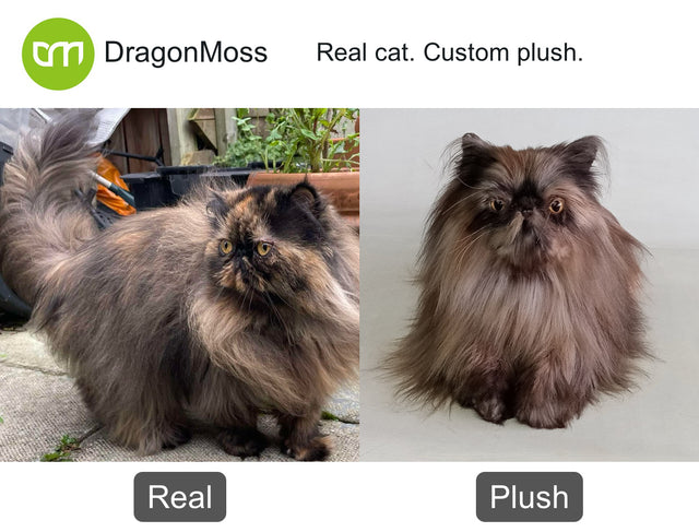 Cat photo beside a full-body custom plush, comparison 046