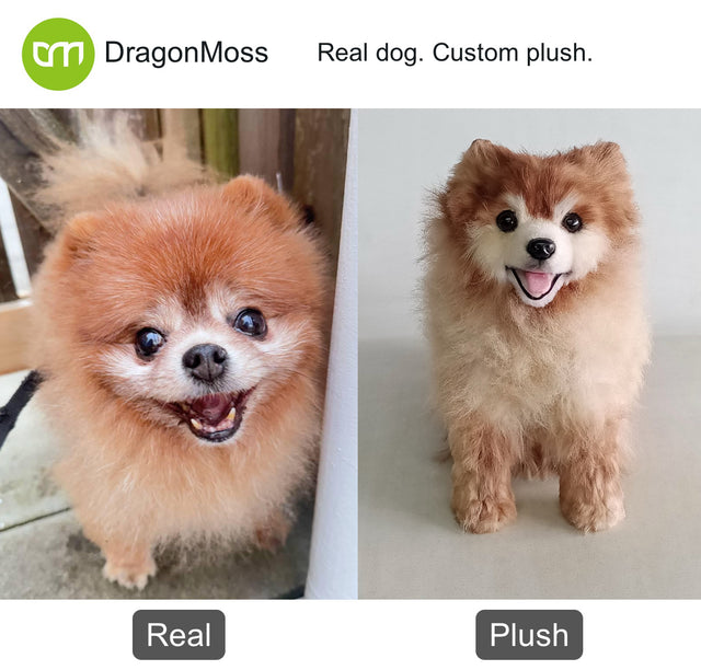 Dog photo beside a full-body custom plush, comparison 047