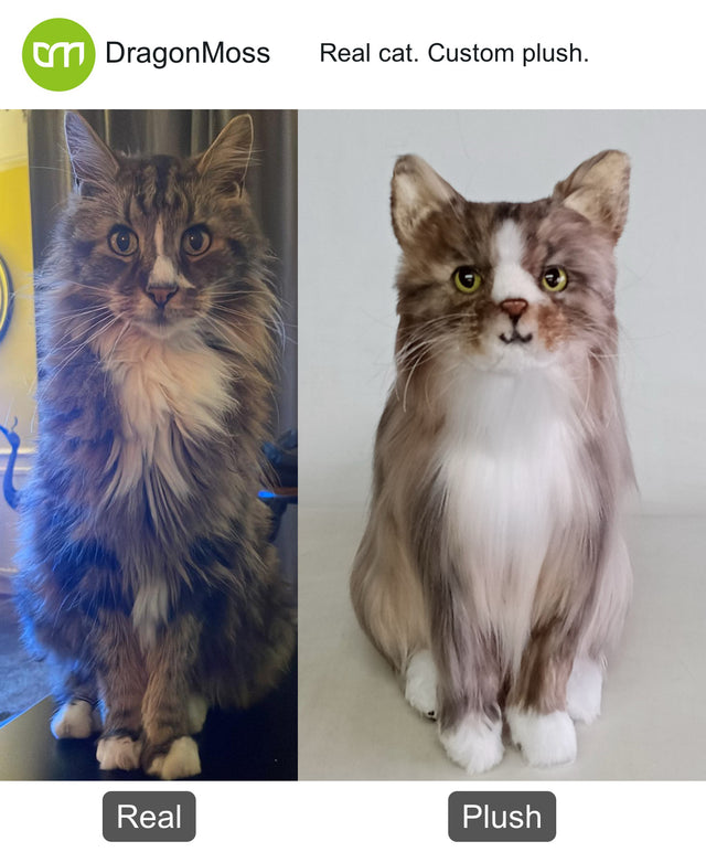 Cat photo beside a full-body custom plush, comparison 048