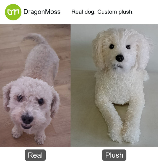 Dog photo beside a full-body custom plush, comparison 050