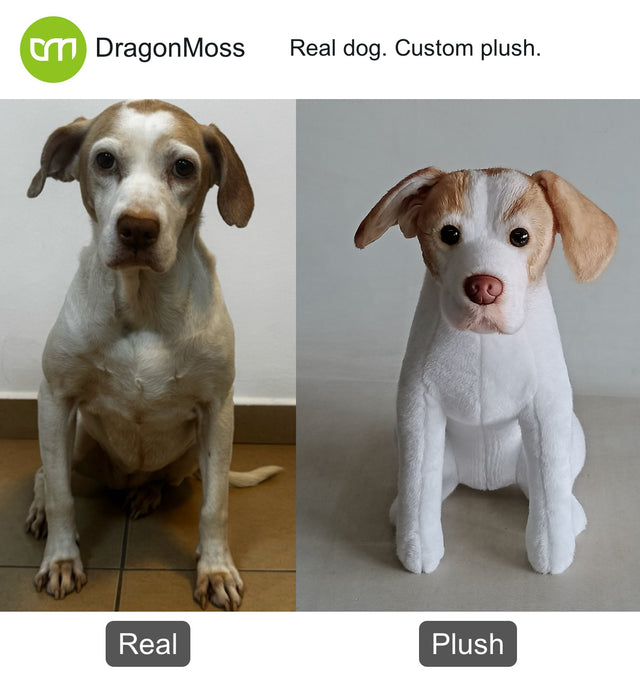 Dog photo beside a full-body custom plush, comparison 051