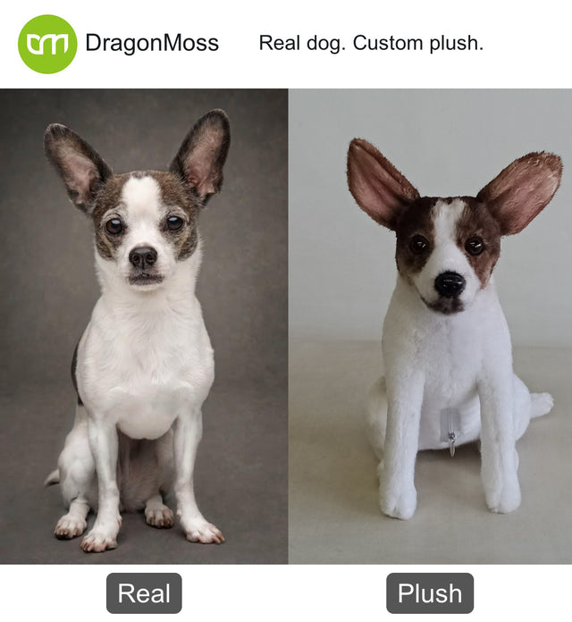 Dog photo beside a full-body custom plush, comparison 053