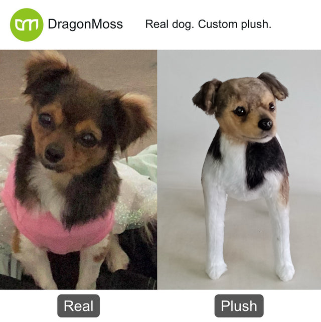 Dog photo beside a full-body custom plush, comparison 054