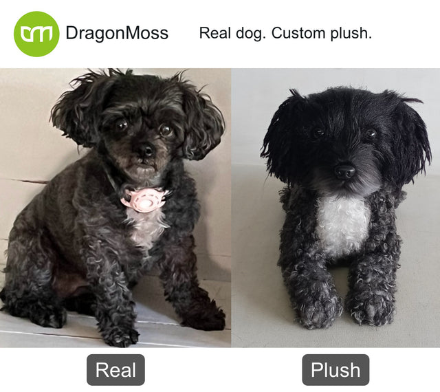 Dog photo beside a full-body custom plush, comparison 055