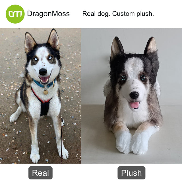 Dog photo beside a full-body custom plush, comparison 056