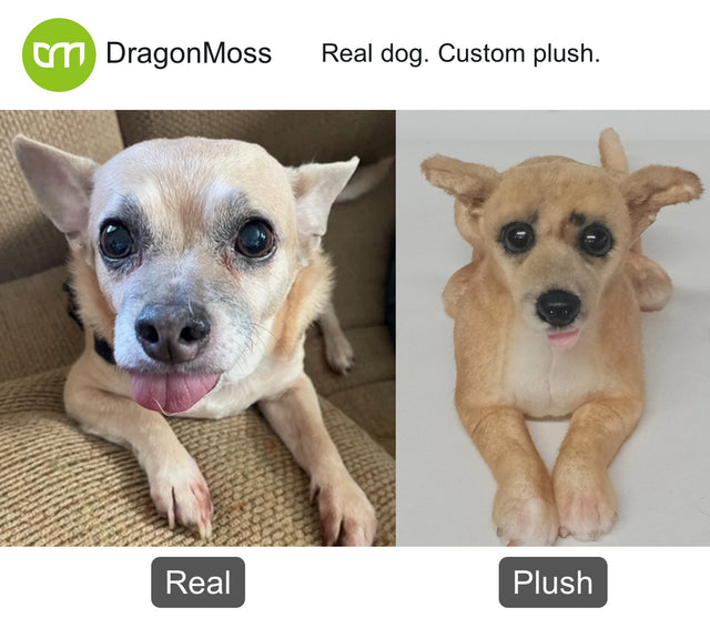 Dog photo beside a full-body custom plush, comparison 058