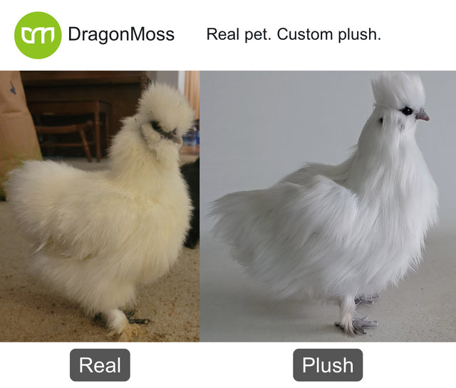 Cat photo beside a full-body custom plush, comparison 059