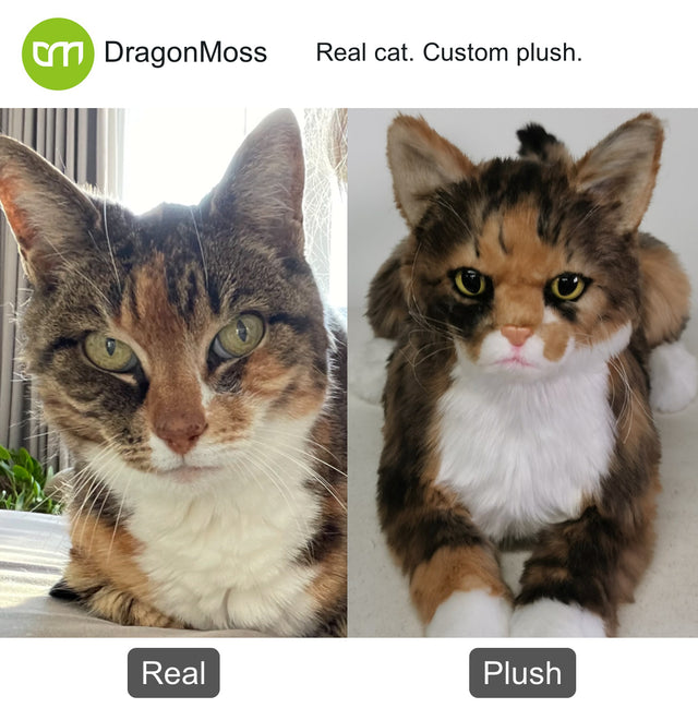 Cat photo beside a full-body custom plush, comparison 060