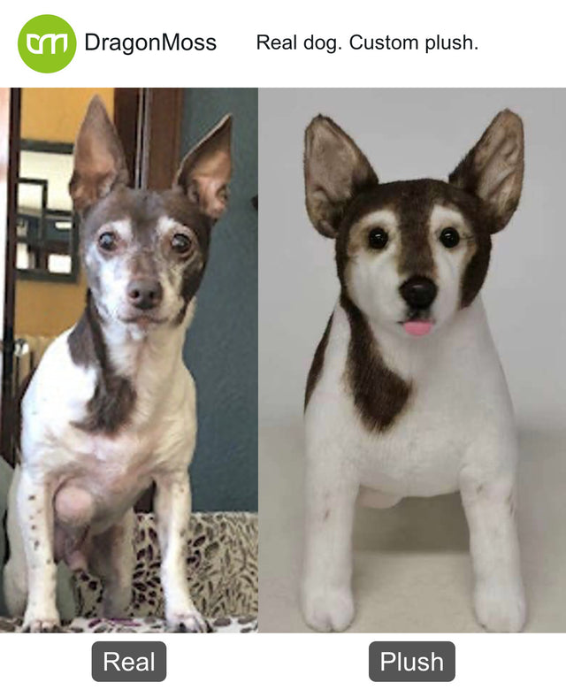 Dog photo beside a full-body custom plush, comparison 061