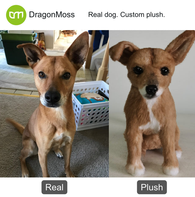 Dog photo beside a full-body custom plush, comparison 065