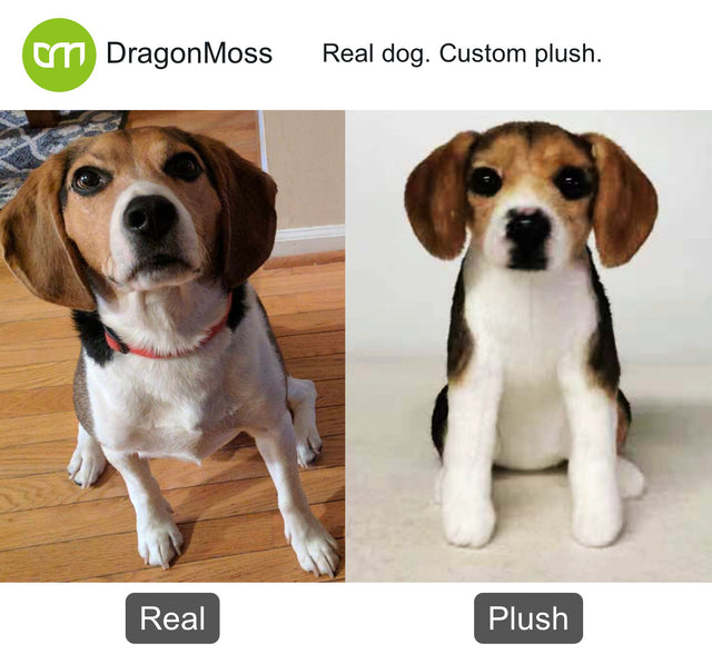Dog photo beside a full-body custom plush, comparison 066