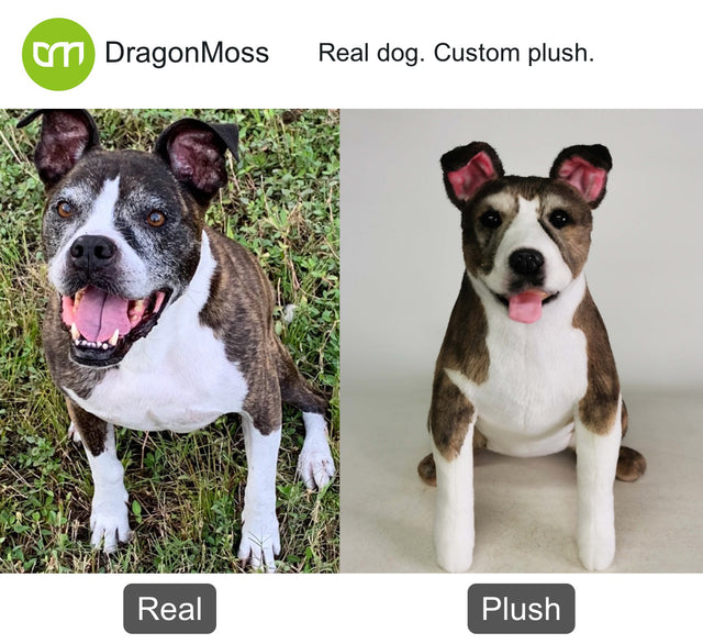 Dog photo beside a full-body custom plush, comparison 067
