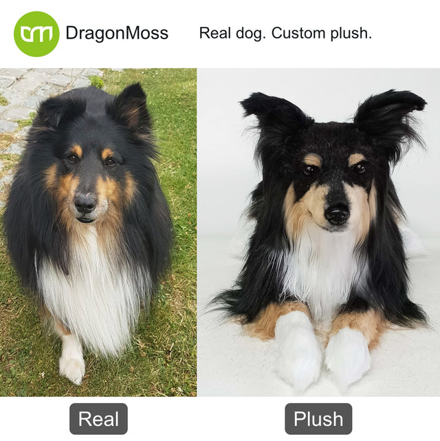 Dog photo beside a full-body custom plush, comparison 074