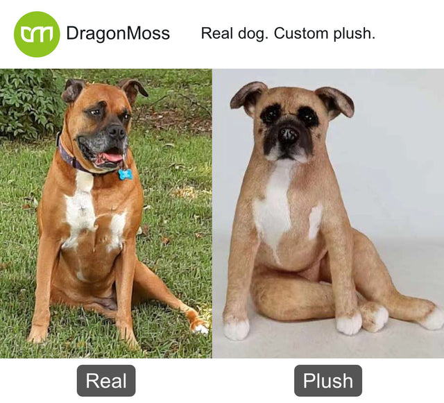 Dog photo beside a full-body custom plush, comparison 076