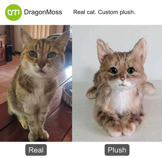 Cat photo beside a full-body custom plush, comparison 077