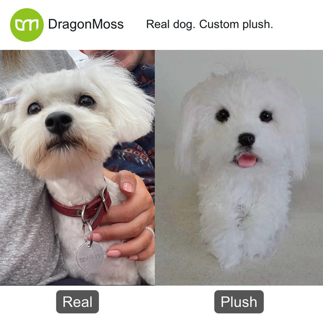 Dog photo beside a full-body custom plush, comparison 078