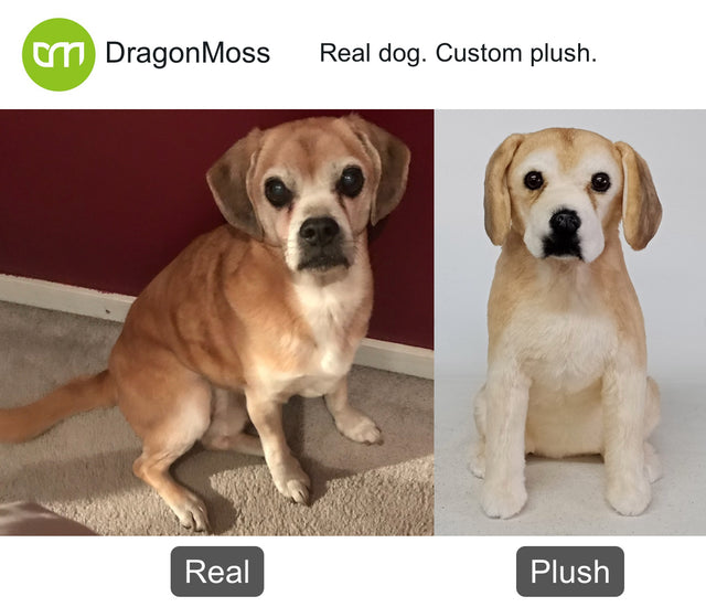 Dog photo beside a full-body custom plush, comparison 079