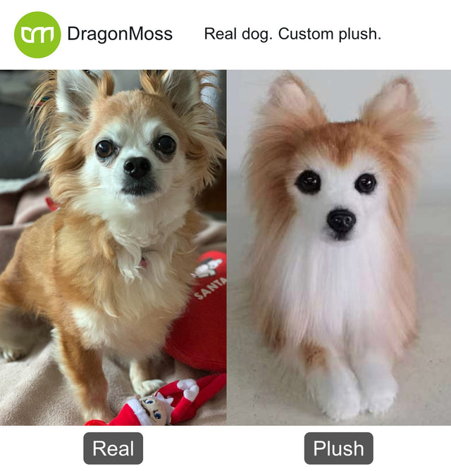 Dog photo beside a full-body custom plush, comparison 080