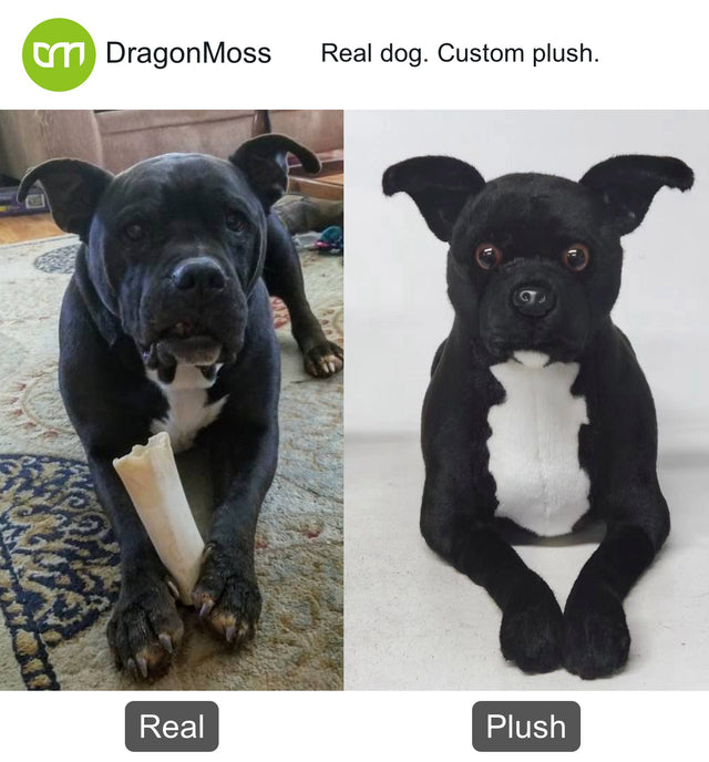 Dog photo beside a full-body custom plush, comparison 081