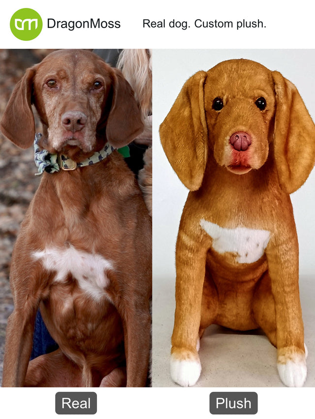 Dog photo beside a full-body custom plush, comparison 082