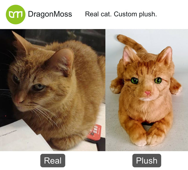 Cat photo beside a full-body custom plush, comparison 083