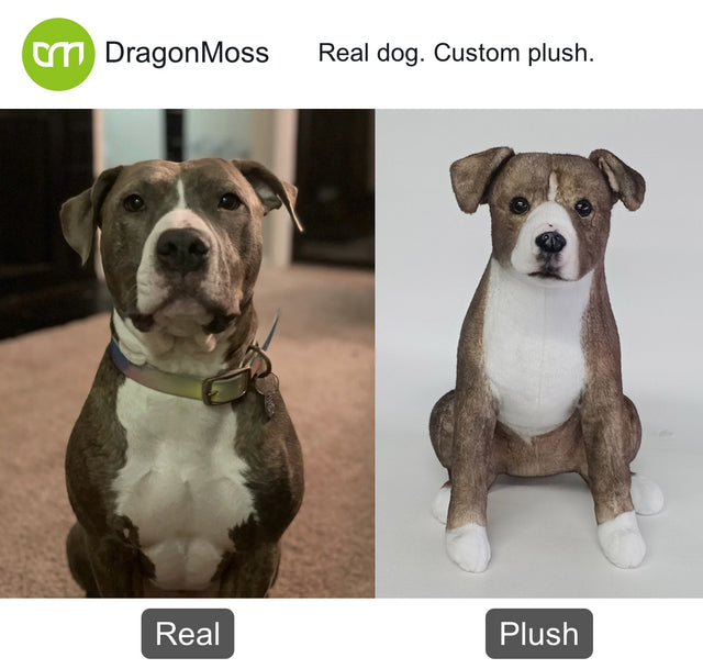 Dog photo beside a full-body custom plush, comparison 087