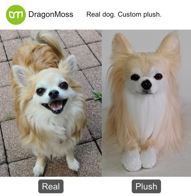 Dog photo beside a full-body custom plush, comparison 088