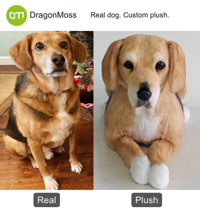 Dog photo beside a full-body custom plush, comparison 090