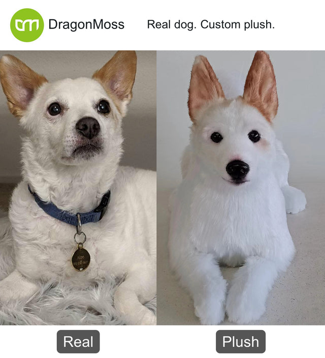 Dog photo beside a full-body custom plush, comparison 092