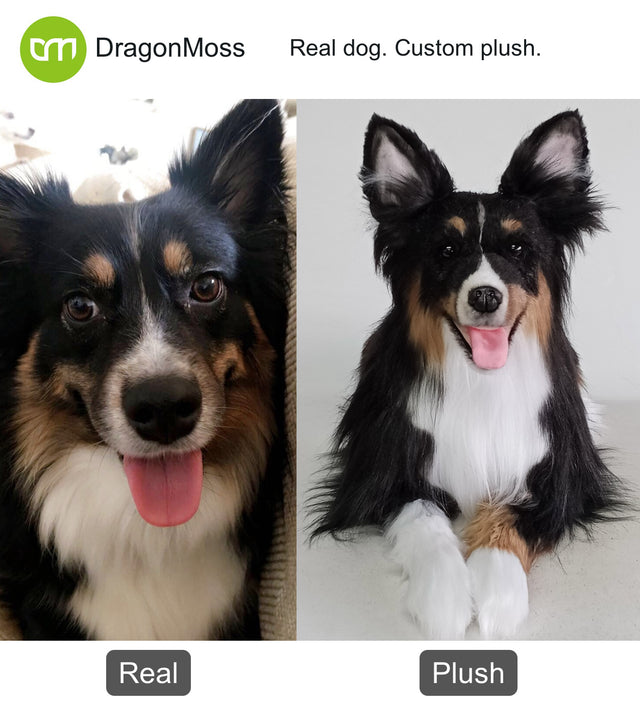 Dog photo beside a full-body custom plush, comparison 095