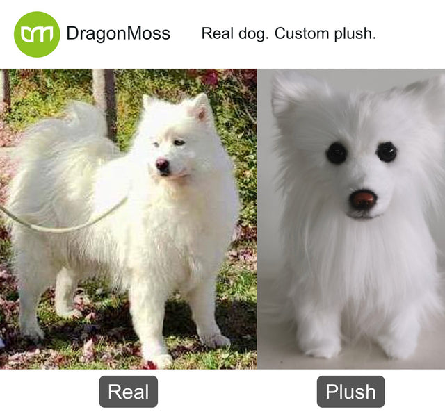 Dog photo beside a full-body custom plush, comparison 096