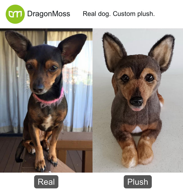 Dog photo beside a full-body custom plush, comparison 097