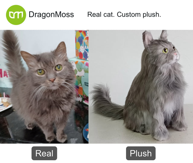 Cat photo beside a full-body custom plush, comparison 098