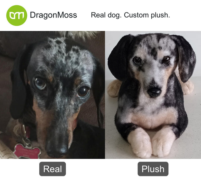 Dog photo beside a full-body custom plush, comparison 099