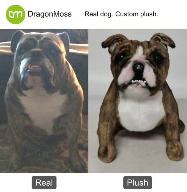 Dog photo beside a full-body custom plush, comparison 101