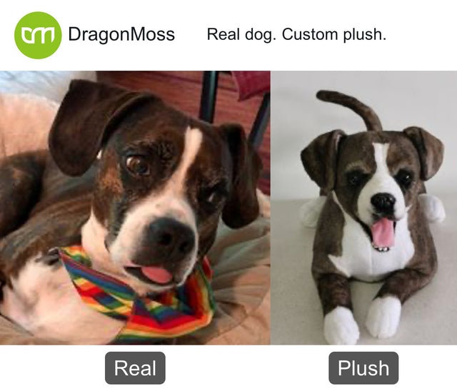 Dog photo beside a full-body custom plush, comparison 102