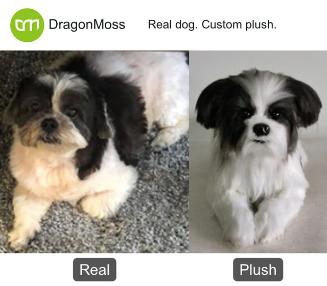 Dog photo beside a full-body custom plush, comparison 103